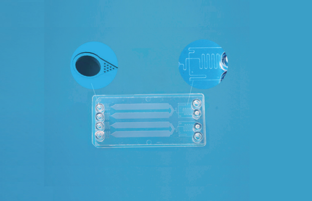 Microfluidic Chips